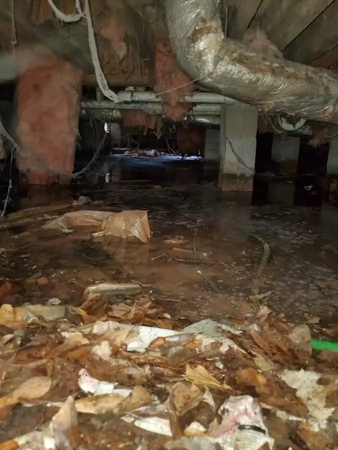 Crawl space flood assessment for Leak Detection & Repair in Putnam